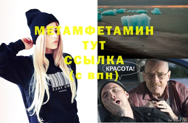 индика Бородино
