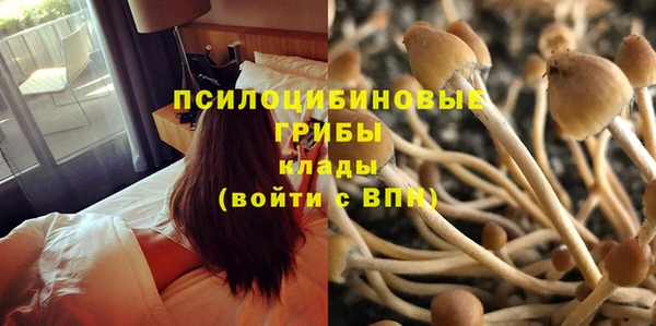 герыч Михайловск