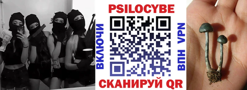 даркнет сайт  Нытва  shop телеграм  Галлюциногенные грибы Psilocybine cubensis 